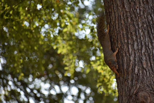 我们或许才 我们或许才